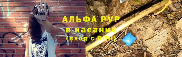 мяу мяу мука Аркадак