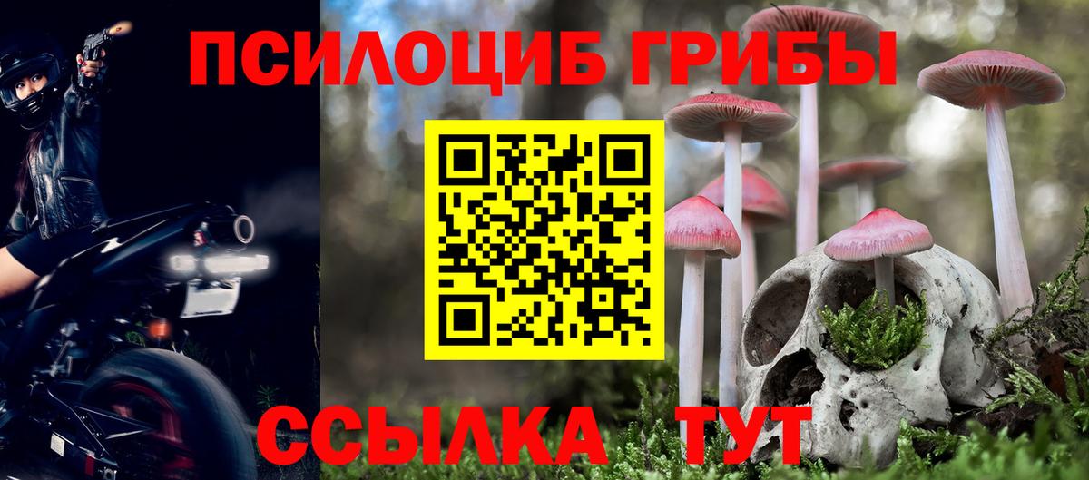 Псилоцибиновые грибы мухоморы Кинель
